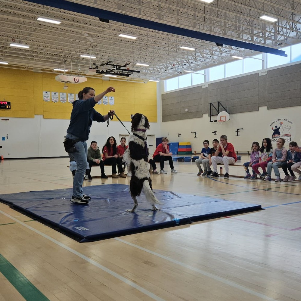 Les élèves à la découverte du monde canin au CampREX