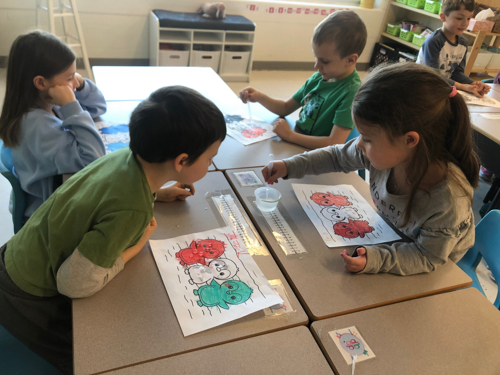 Les élèves de 1re année découvrent la science par l’expérimentation